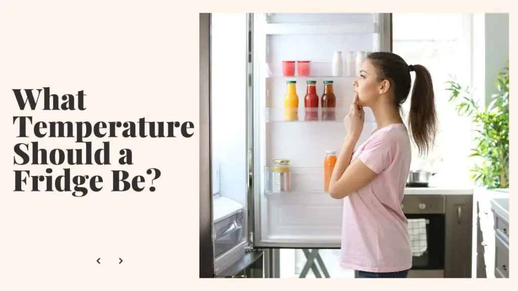 What Temperature Should a Fridge Be