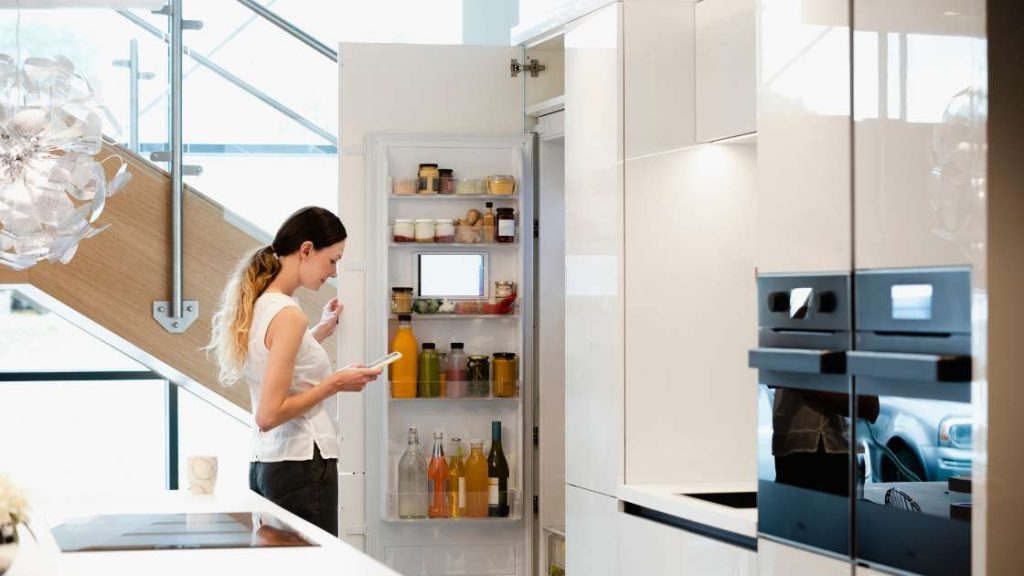 Overview of Smart Fridges