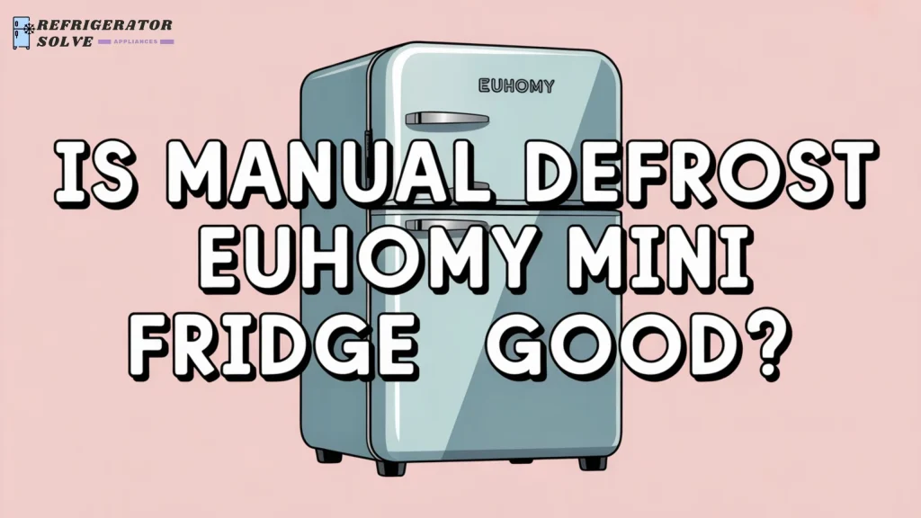 Is Manual Defrost EUHOMY Mini Fridge Good