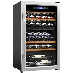wine refrigerator dual zone best