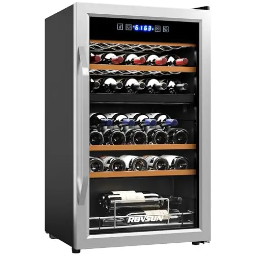 wine refrigerator dual zone best