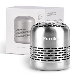 best deodorizer for refrigerator