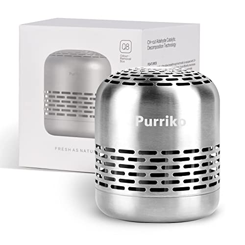 best deodorizer for refrigerator
