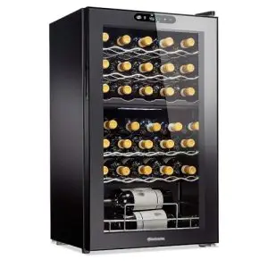 best wine refrigerator dual zone