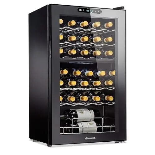 best wine refrigerator dual zone