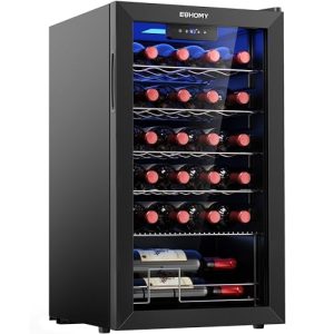 best wine refrigerator 2024