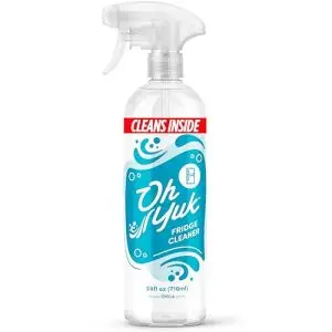 best cleaner for refrigerator interior